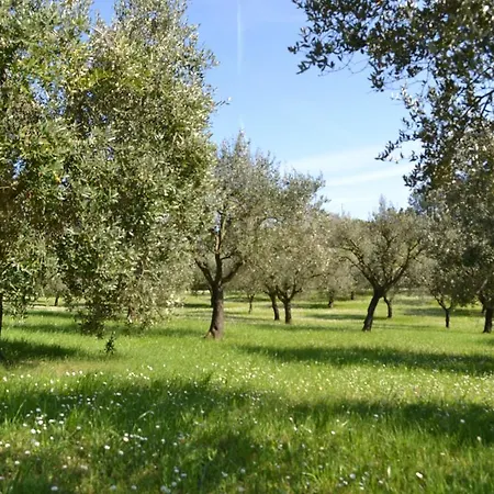 Villa Marta Fano