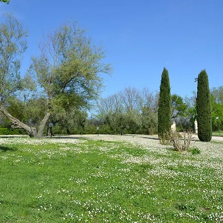 Marta Villa Fano